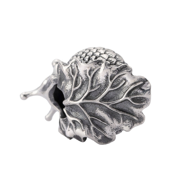 Oakleaf Snail