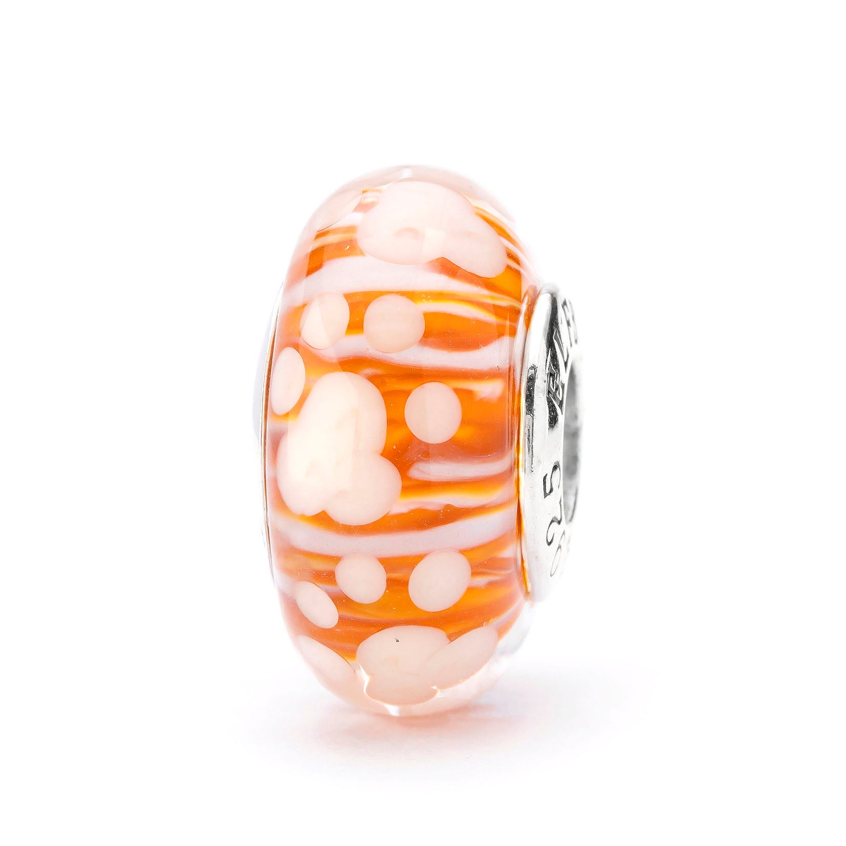 Paws of Little Chaos