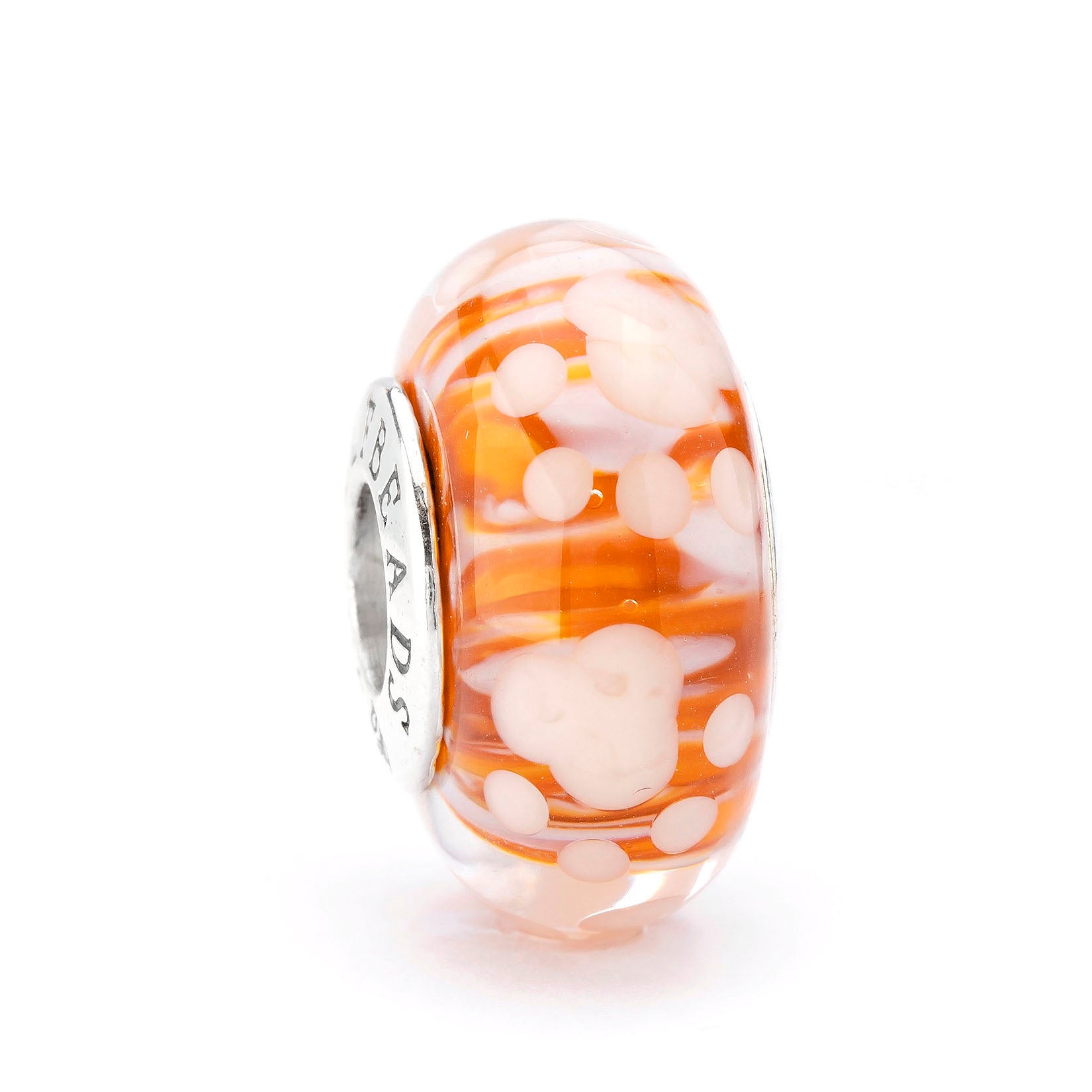 Paws of Little Chaos