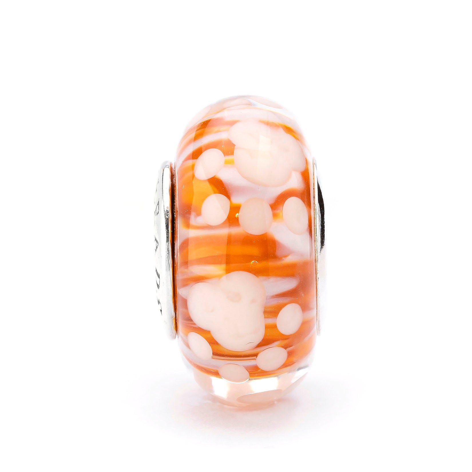 Paws of Little Chaos