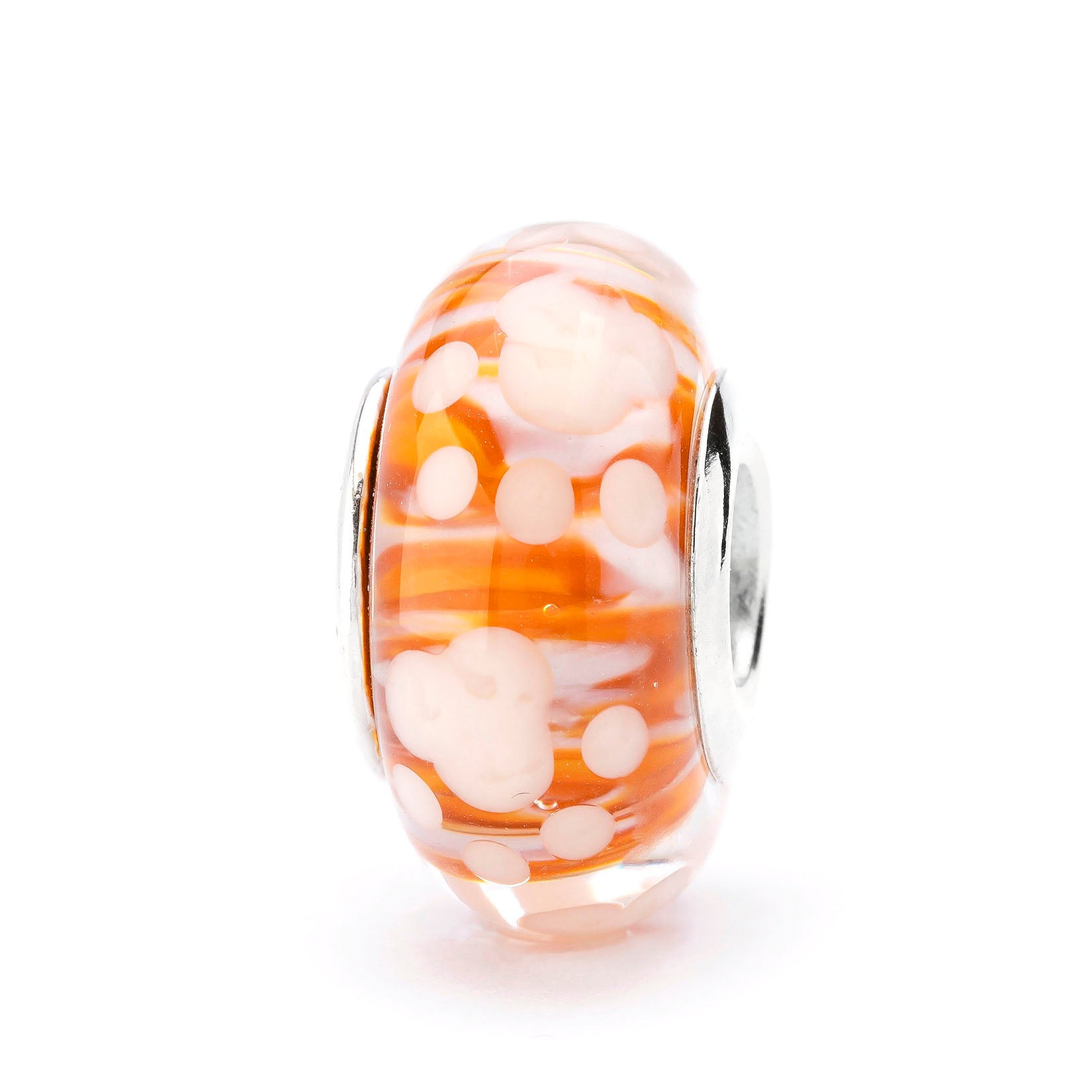 Paws of Little Chaos