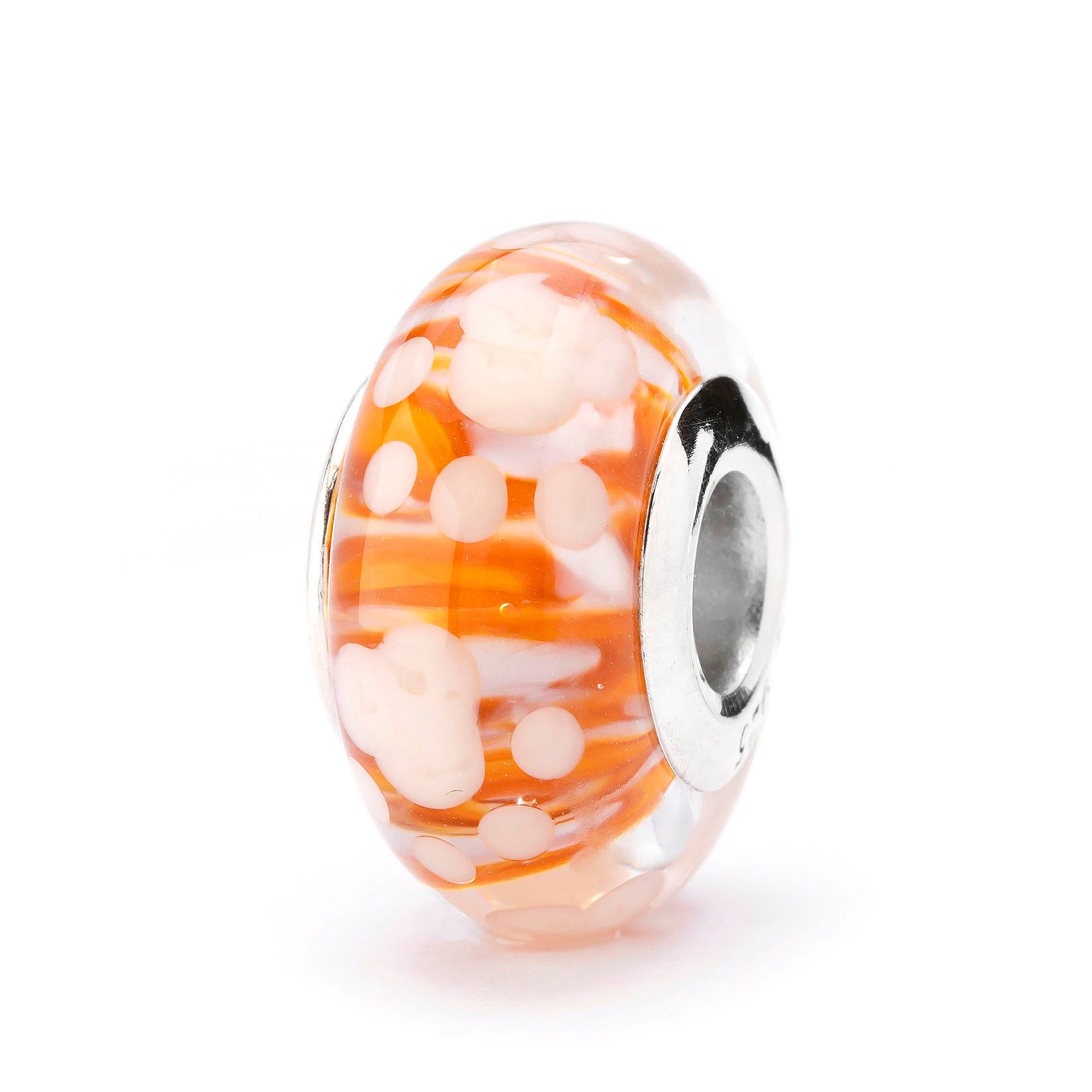 Paws of Little Chaos