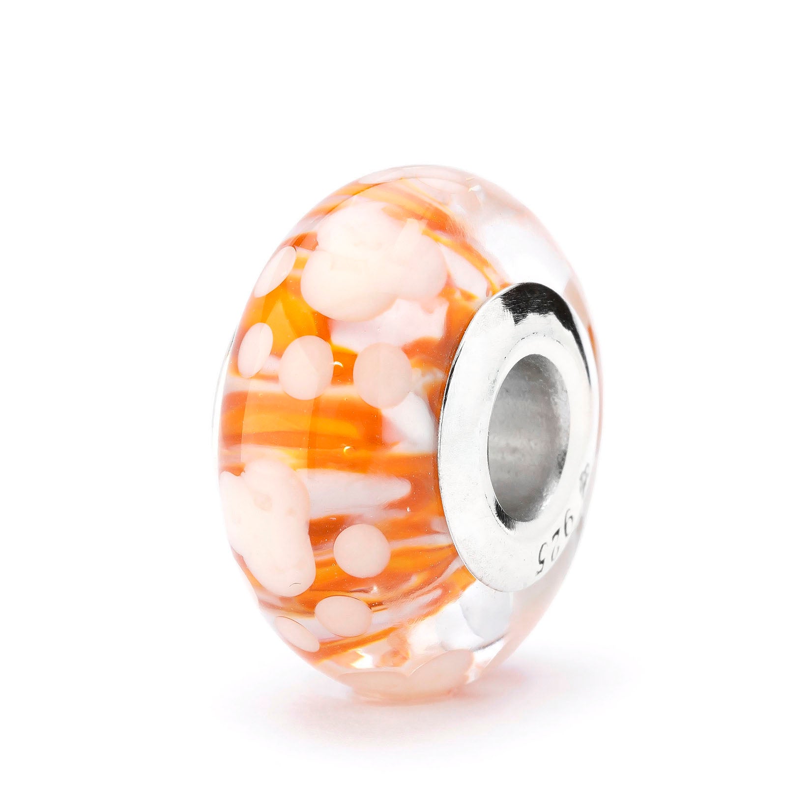 Paws of Little Chaos