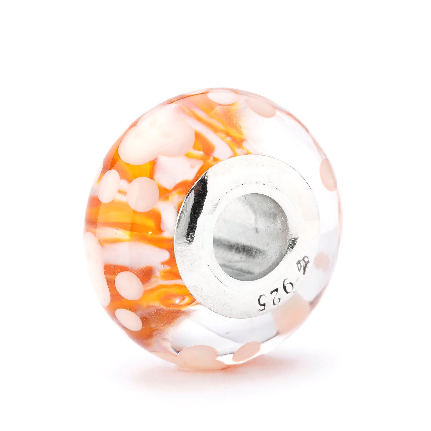 Paws of Little Chaos