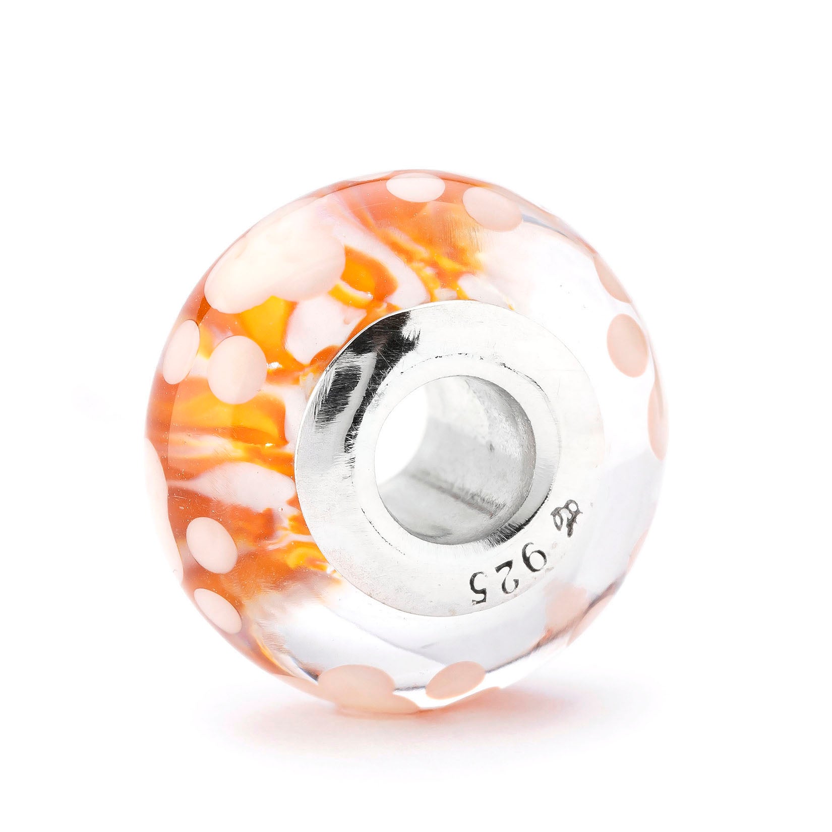 Paws of Little Chaos