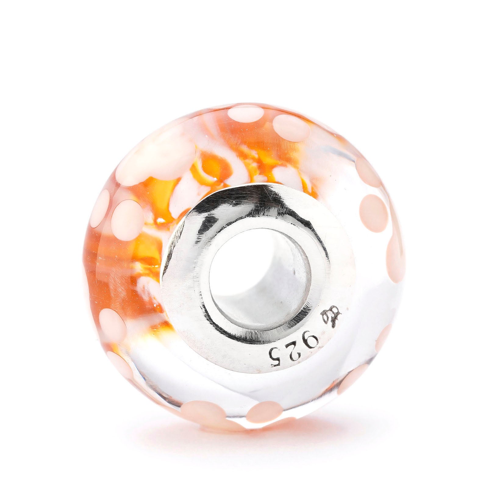 Paws of Little Chaos