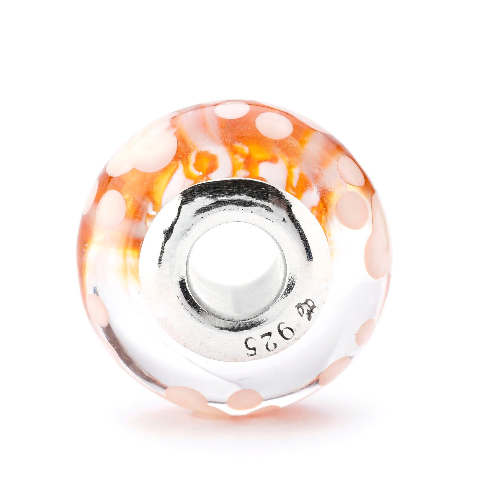 Paws of Little Chaos