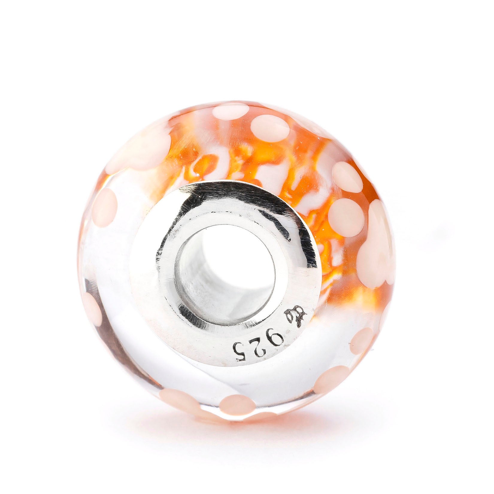 Paws of Little Chaos