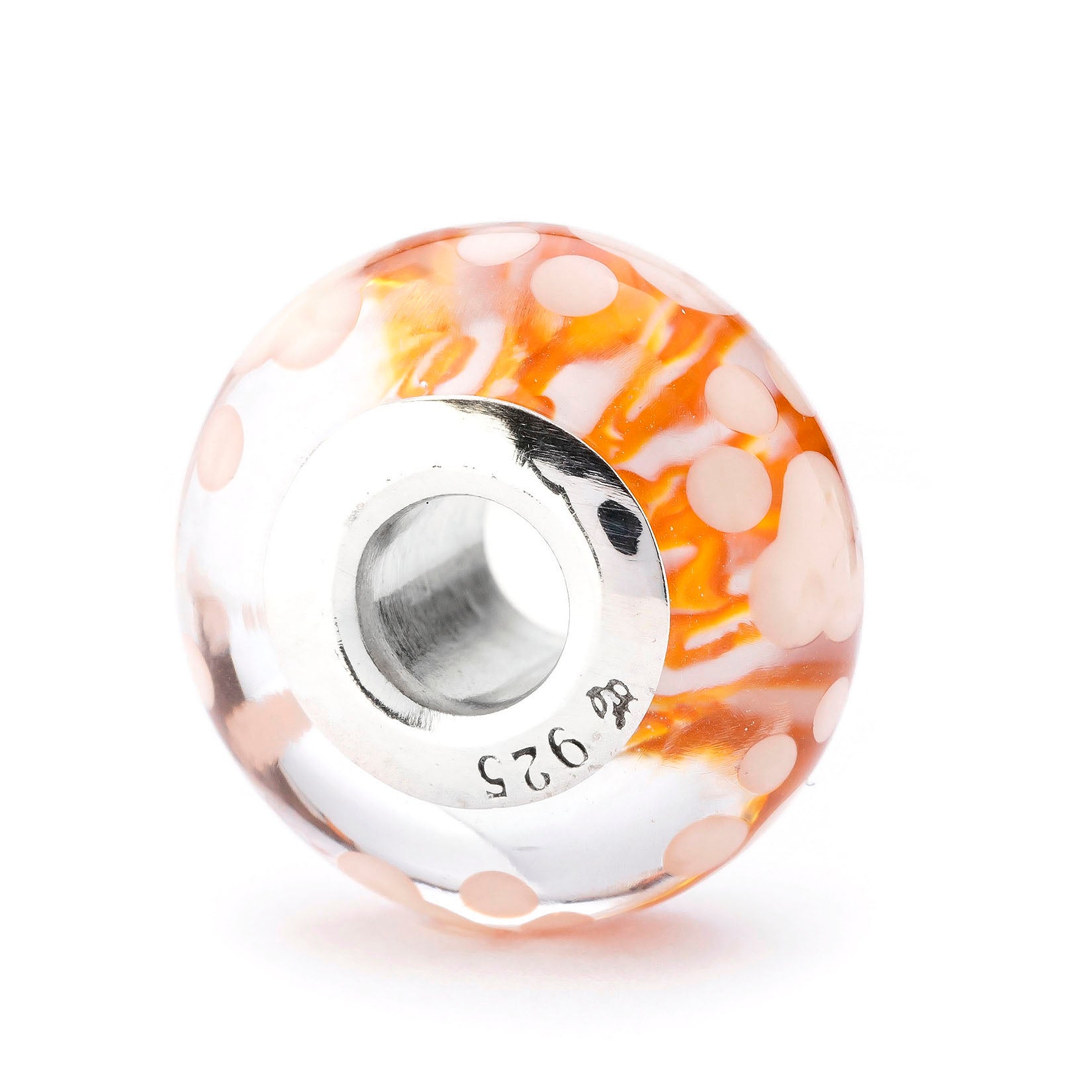 Paws of Little Chaos