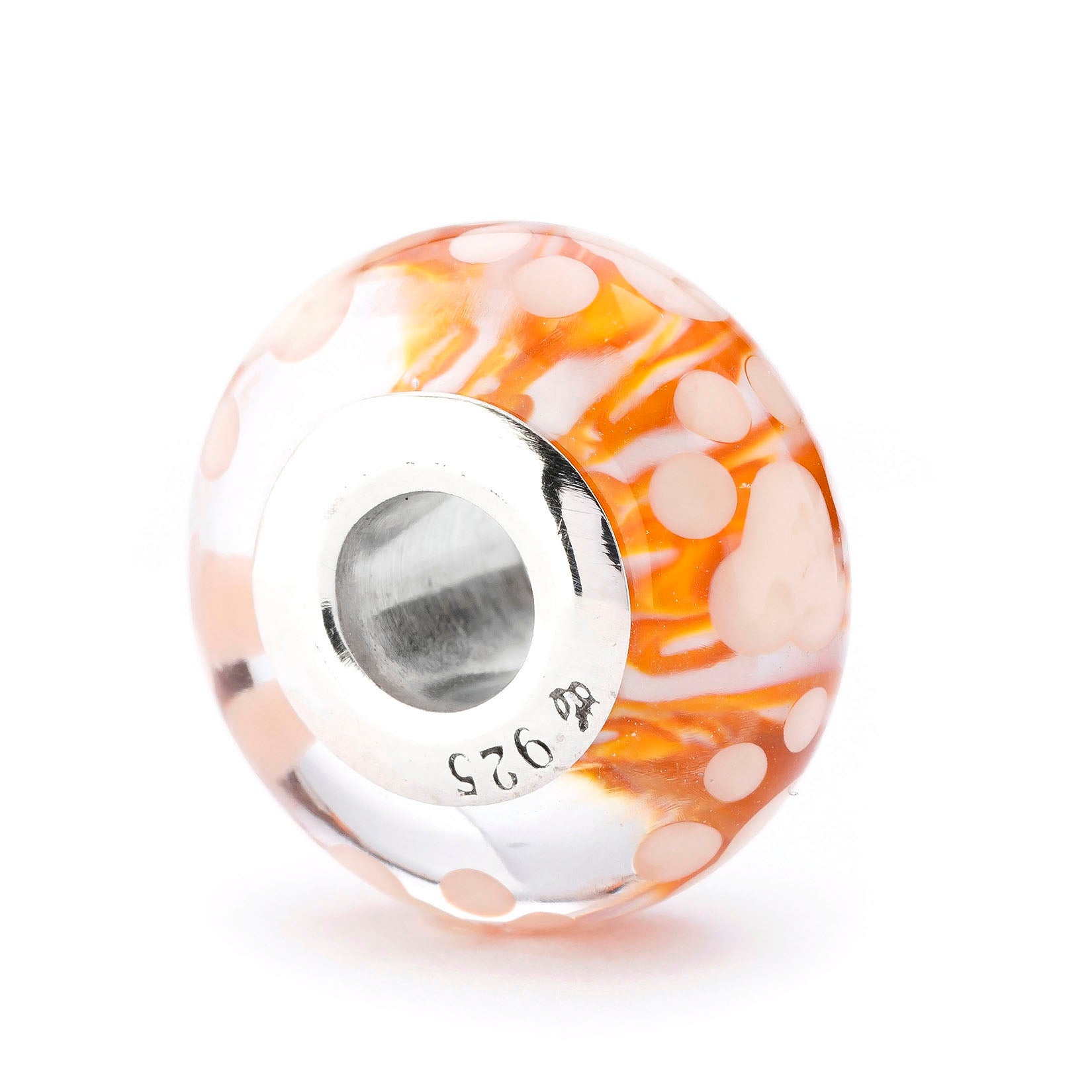 Paws of Little Chaos