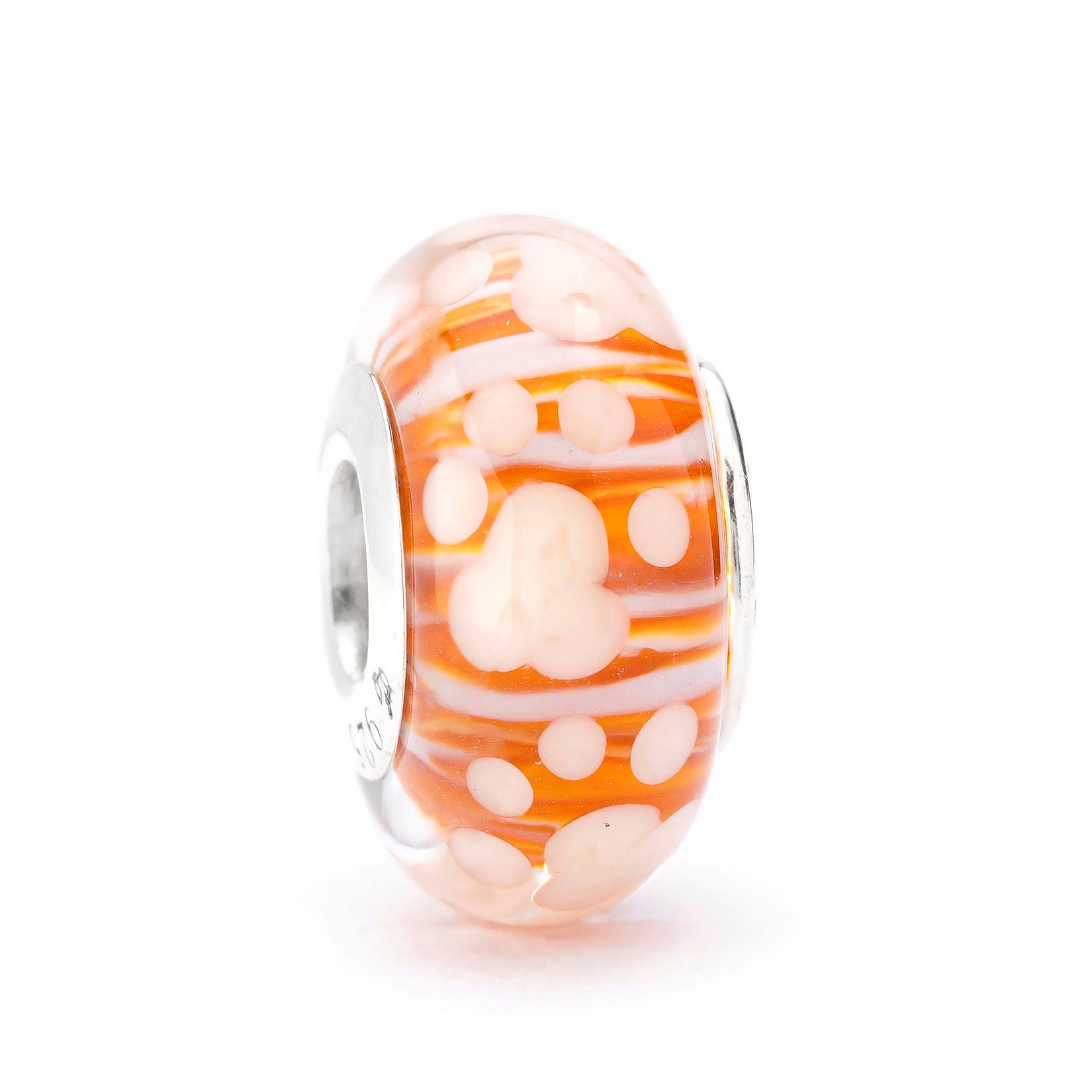 Paws of Little Chaos