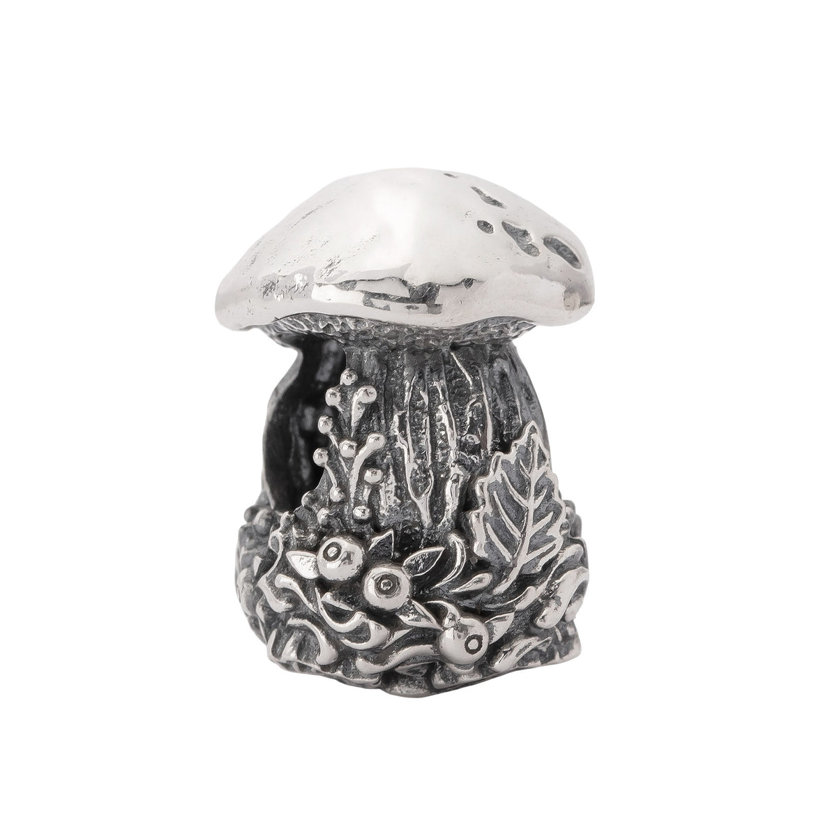 Porcini Treasure