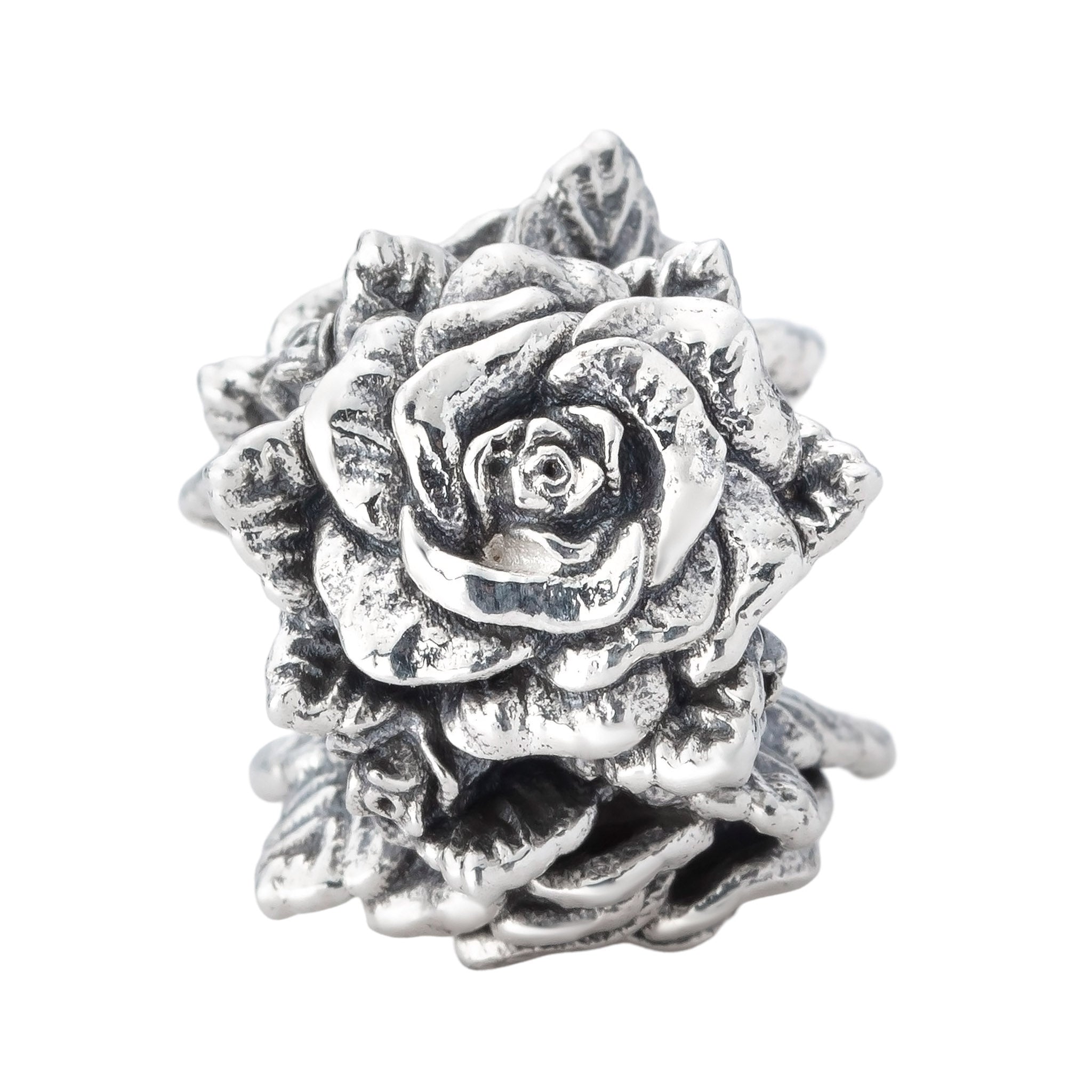 Rose_Majesty-A.jpg?crop=center