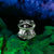 The Cosmic Frog