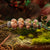Amberlight Mushrooms