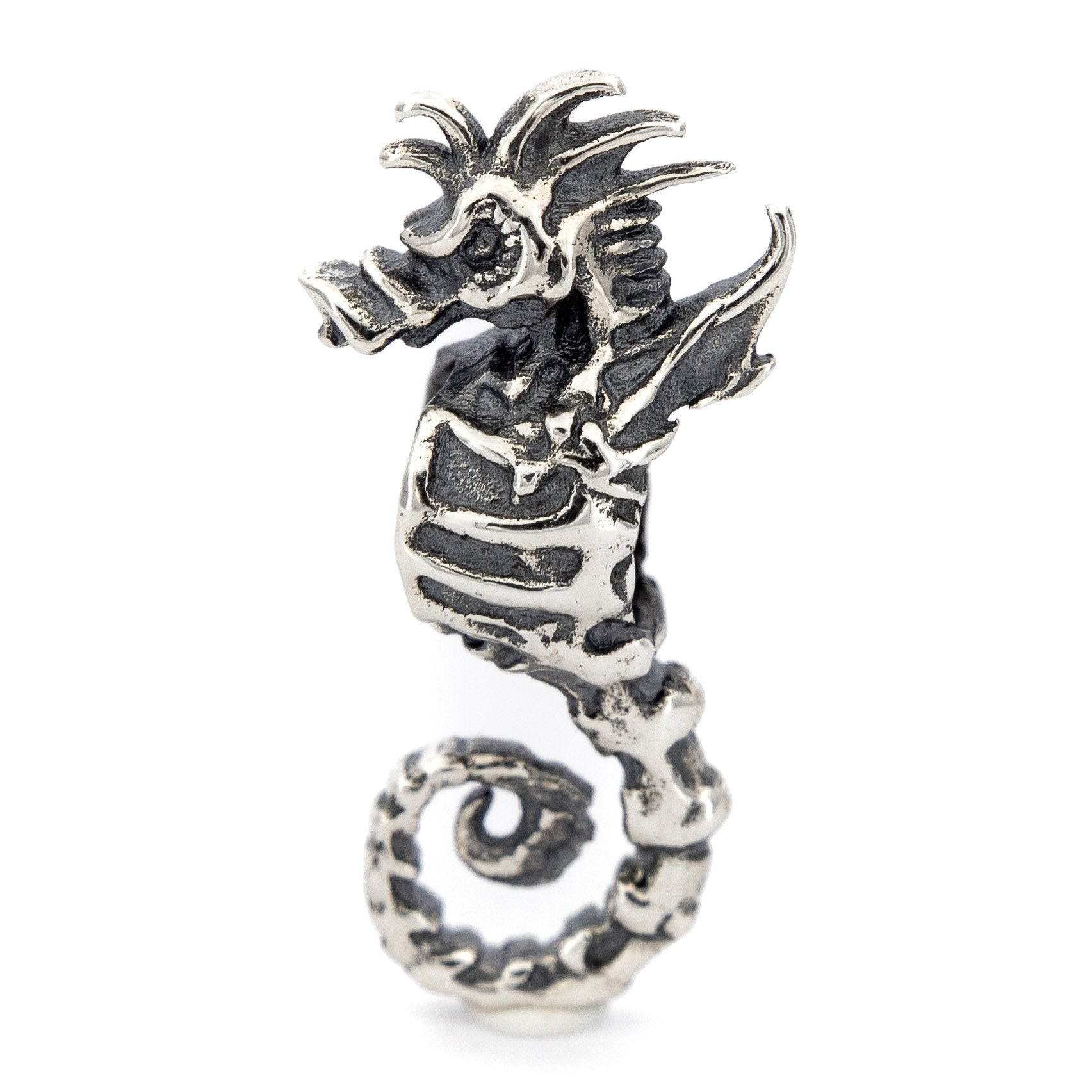 Skeleton Seahorse