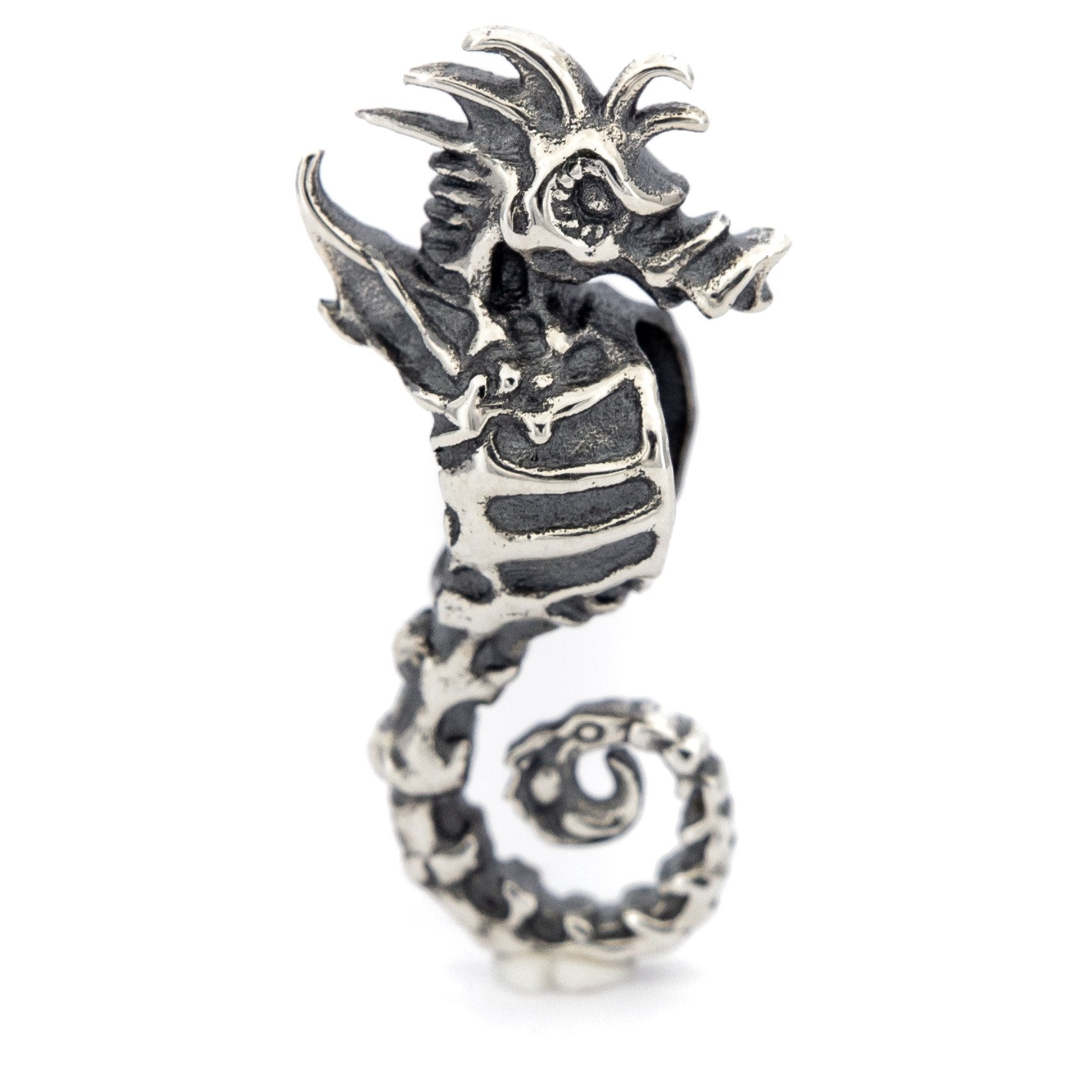 Skeleton Seahorse